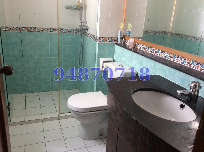 The Floravale (D22), Condominium #63519792
